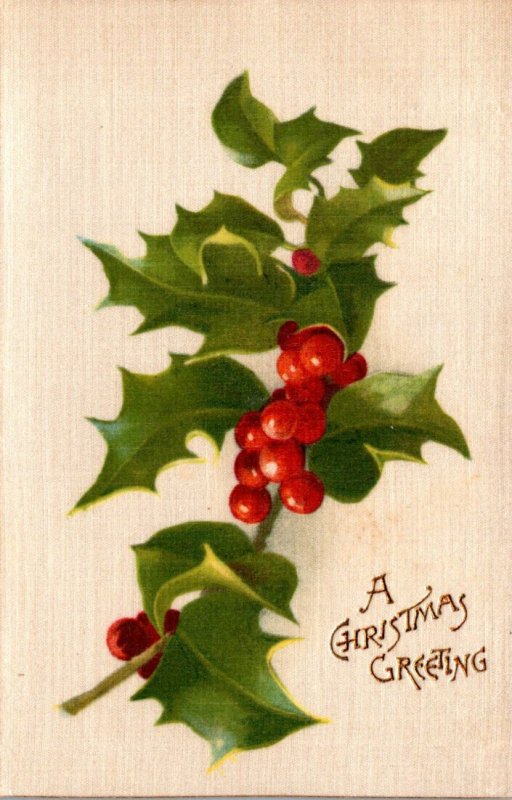 Christmas Greetings With Holly