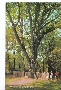 Hampshire Postcard - Knightwood Oak - New Forest      XX254