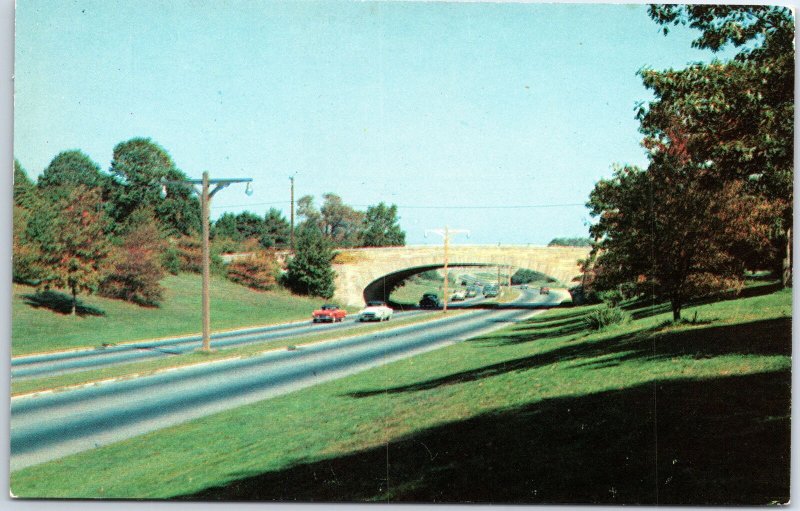 VINTAGE POSTCARD PICTURESQUE NORTHERN STATE PARKWAY ON LONG ISLAND NEW YORK