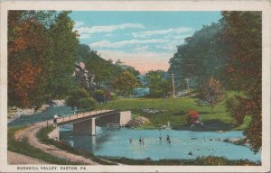 Postcard Bushkill Valley Easton PA