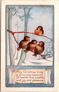 Postcard Christmas Whitney made Birds on branches