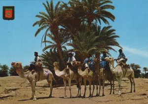 Morocco Postcard - Caravana De Meharistes De M'Hamid  RR9374