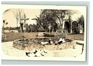 1924-49 Rppc Court Cortez Laredo Texas Real Photo Postcard Wading Pool Chickens