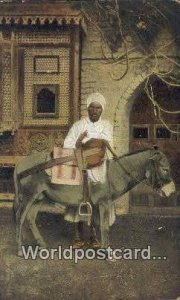 Donkey Boy Egypt Postcard.
