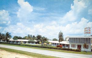 Homestead Florida 1960s Postcard White Heron Lodge Motel