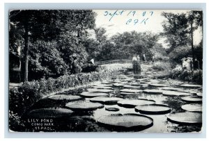 Vintage Lily Pond Como Park St Paul Postcard P148