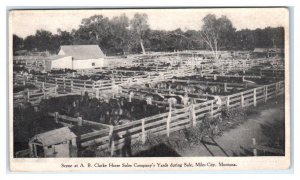 MILES CITY, Montana MT ~ Corral Scene A.B. CLARKE HORSE SALES c1900s Postcard