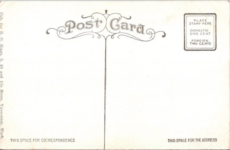 MOUNT HOOD FROM VANCOUVER WASHINGTON ~1910s POSTCARD JG7