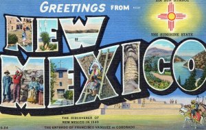 NM, New Mexico Linen Large Letter Postcard