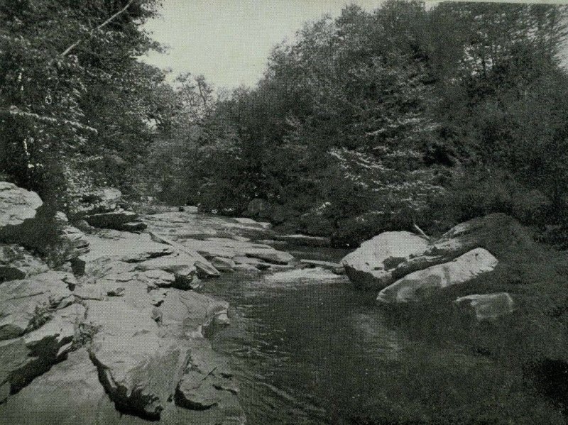 1898-1907 Point Creek, Johnstown, PA Monotone Vintage Postcard P98