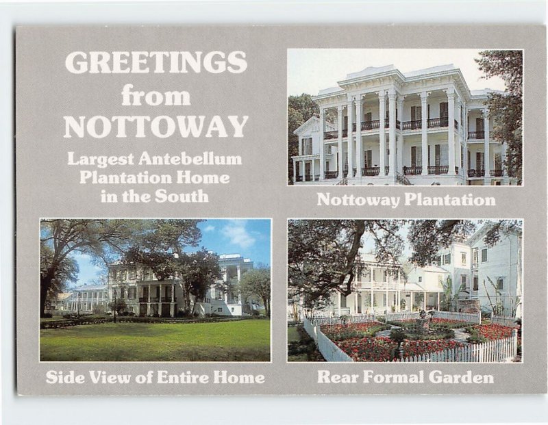 Postcard Nottoway Plantation White Castle Louisiana USA