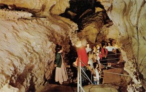 WONDER CAVE San Marcos, Texas c1960s Chrome Vintage Postcard