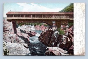 Covered Bridge Connecticut River Bellows Falls Vermont VT 1907 UDB Postcard P13