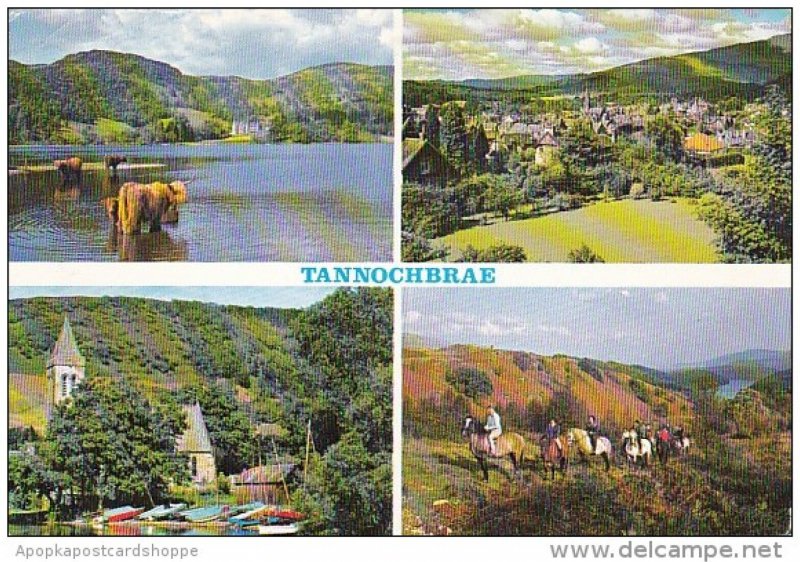 Scotland Fife Tannochbrae Multi View