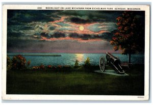 c1920's Cannon Moonlight on Lake Michigan Eichelman Park Kenosha WI Postcard 