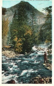 Vintage Postcard 1936 Man Fishing in the Mountain Stream Pine Trees Forest View