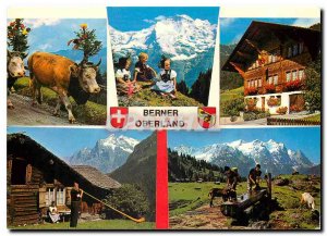 Postcard Modern Berner Oberland Chevre