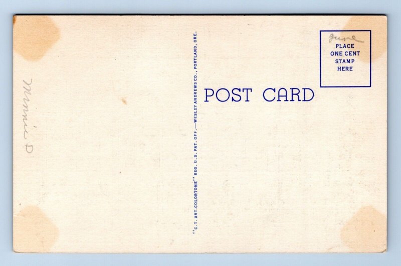 State Capitol Building Boise ID Idaho UNP Unused Linen Postcard M9