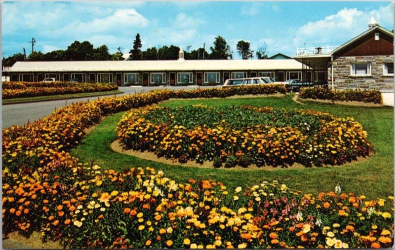 White House Lodge Motor Hotel Saint John NB New Brunswick Vintage Postcard D36