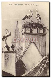 Old Postcard Strassburg a nest Storks