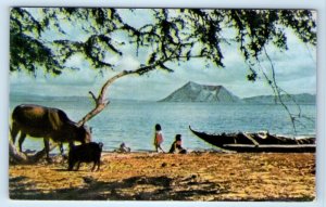 Taal Volcano in Lake Taal Bombon BATANGAS PHILIPPINES Postcard