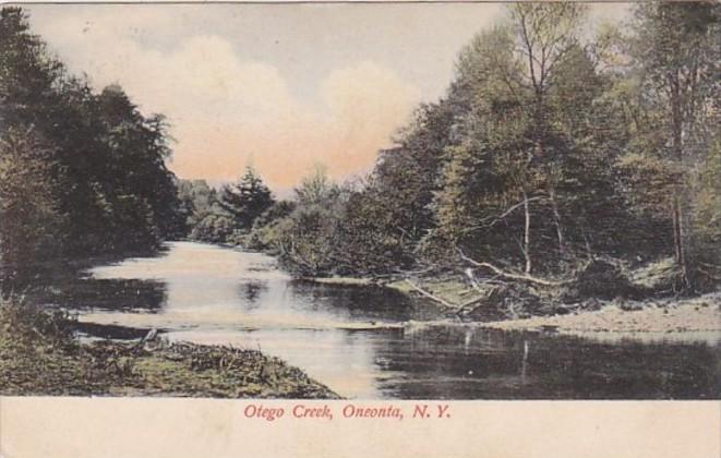 New York Oneonta Otego Creek 1909