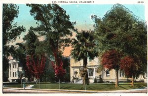 Vintage Postcard 1920's Residential Scene California CA