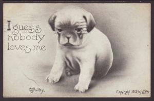 I Guess Nobody Loves Me,Dog,Colby,Comic Postcard 