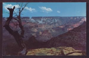 Grand Canyon National Park AZ Post Card 3663