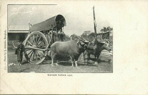 siam thailand, BANGKOK, Native Bullock Cart (1899) Postcard