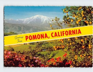 Postcard Greetings From Pomona, California