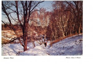 January Thaw, Hamilton, Ontario Spectator