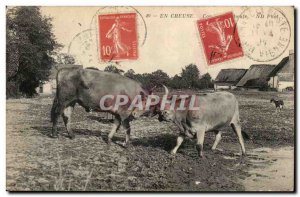 Creuse Crozant Old Postcard oxen Combat TOP