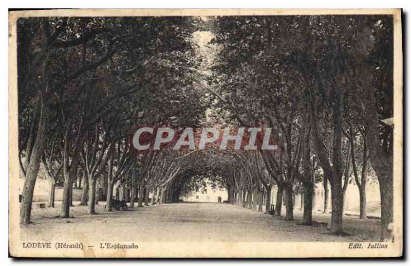 Postcard Old LODEVE Herault Esplanade