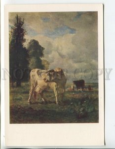 457415 USSR 1959 year Troyon cows in the field old postcard