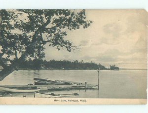 Divided-back BOAT DOCK Newaygo by Fremont & Muskegon & Grand Rapids MI AE4935