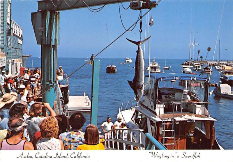 Catalina Island - California