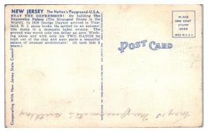 George Daynor, Palace Depression- The Strangest House, Vineland, NJ Postcard