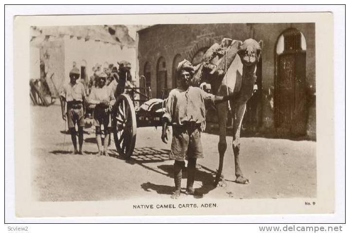 RP: Native Camel Carts, Aden, Yemen, 1910-30s