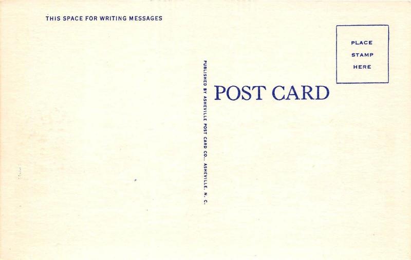 A80/ Black Mountain North Carolina NC Postcard Linen State Street Drug Store 2