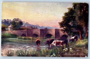 1908 Bakewell Bridge Derbyshire England United Kingdom Oilette Tuck Art Postcard
