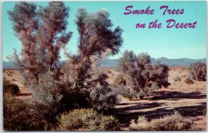 VINTAGE POSTCARD BLUE-GRAY SMOKE TREES ON THE DESERT PUBLISHED BY PETLEY