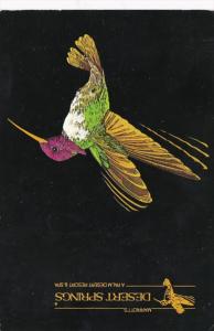 California Desert Springs Marriott's Palm Desert Resort & Spa 1996