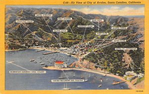 Air View of City of Avalon Santa Catalina CA