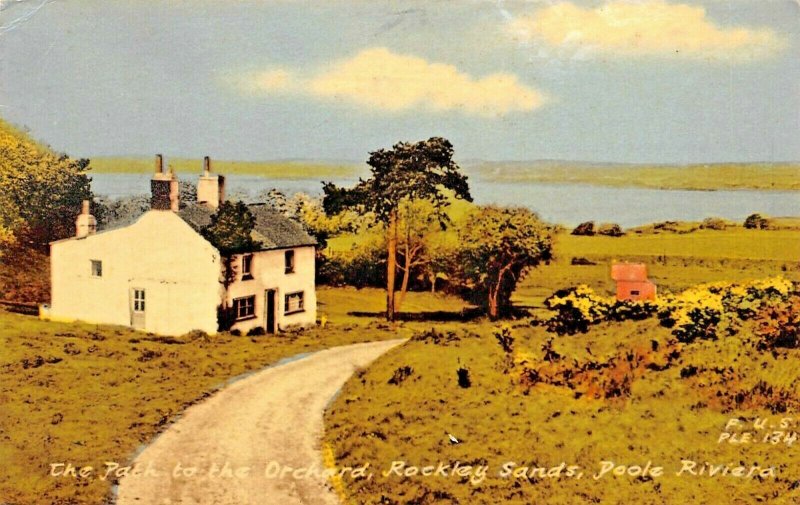 ROCKLEY SANDS DORSET ENGLAND~POOLE RIVIERA-PATH TO THE ORCHARD-PHOTO POSTCARD