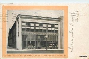 1907 Minneapolis Minnesota Exterior OH Peck Company postcard 694