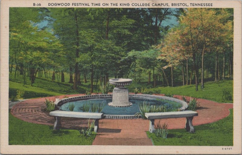 Postcard Dogwood Festival Time on the King College Campus Bristol TN