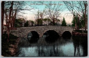 Stamford Connecticut c1910 Postcard North Street Bridge