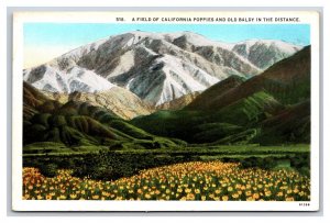 Field of Poppies Mount San Antonio California CA UNP WB Postcard U7