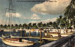 Florida Fort Lauderdale Coconut Palms Along Yacht Basin Curteich